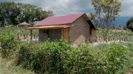 filter: 0; jpegRotation: 90; fileterIntensity: 0.000000; filterMask: 0; module:1facing:0; 
hw-remosaic: 0; 
touch: (-1.0, -1.0); 
modeInfo: ; 
sceneMode: Hdr; 
cct_value: 0; 
AI_Scene: (-1, -1); 
aec_lux: 0.0; 
hist255: 0.0; 
hist252~255: 0.0; 
hist0~15: 0.0;