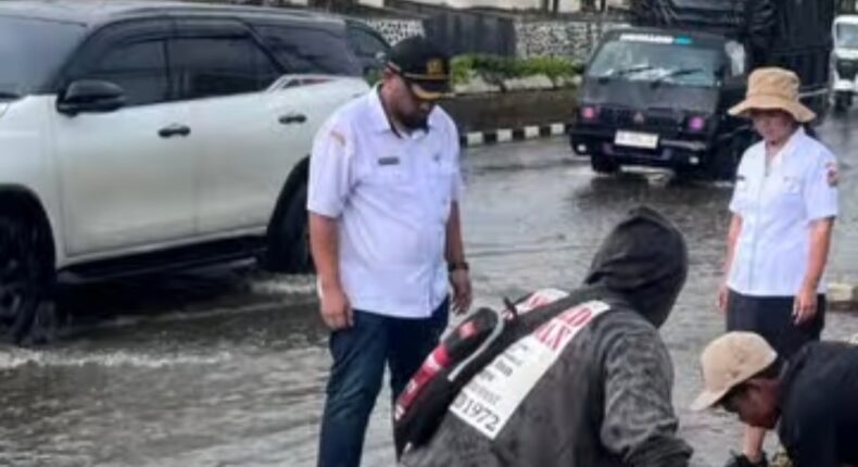 foto slider headline