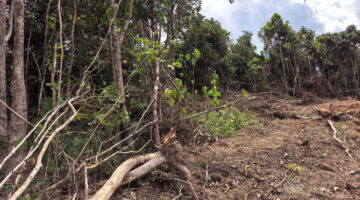 Skandal Tambang di Atas Lahan Cacat Hukum: Penetapan Tersangka Para Kepala Desa Runtuhkan Legitimasi Operasional PT AGM