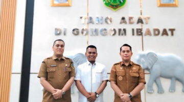TANGAN DINGIN PMA, PADANG LAWAS MAJU